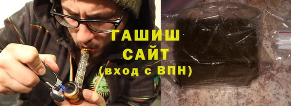 ГАЛЛЮЦИНОГЕННЫЕ ГРИБЫ Дмитриев