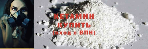 ГАЛЛЮЦИНОГЕННЫЕ ГРИБЫ Дмитриев
