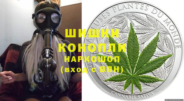 ГАЛЛЮЦИНОГЕННЫЕ ГРИБЫ Дмитриев