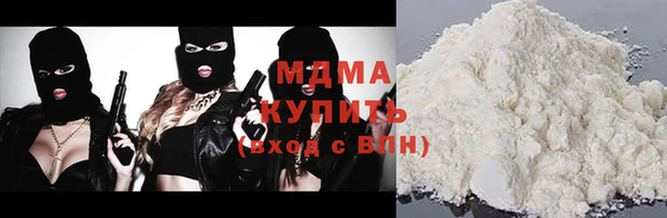 ГАЛЛЮЦИНОГЕННЫЕ ГРИБЫ Дмитриев