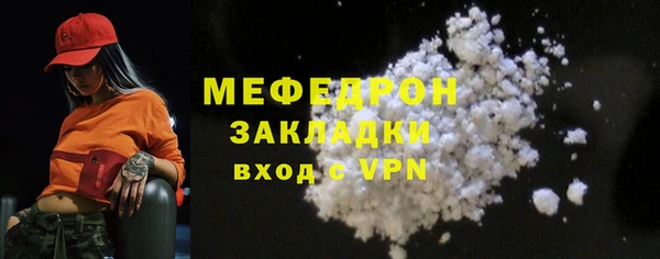 ГАЛЛЮЦИНОГЕННЫЕ ГРИБЫ Дмитриев