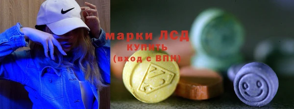ГАЛЛЮЦИНОГЕННЫЕ ГРИБЫ Дмитриев