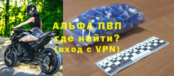ГАЛЛЮЦИНОГЕННЫЕ ГРИБЫ Дмитриев