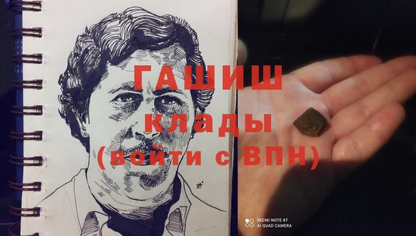 ГАЛЛЮЦИНОГЕННЫЕ ГРИБЫ Дмитриев