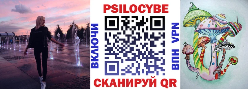 Купить  Туран  Псилоцибиновые грибы Psilocybine cubensis 